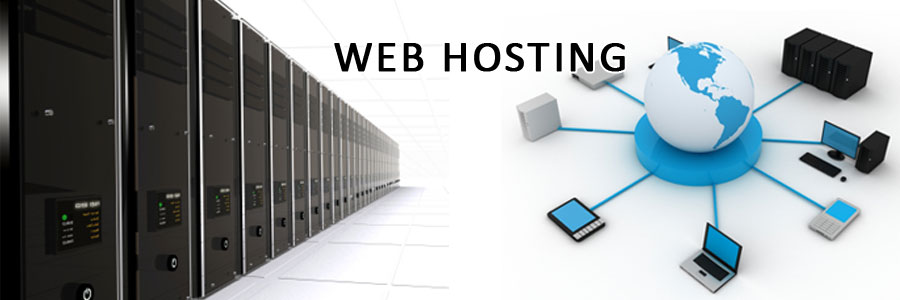 Hosting Services Provider